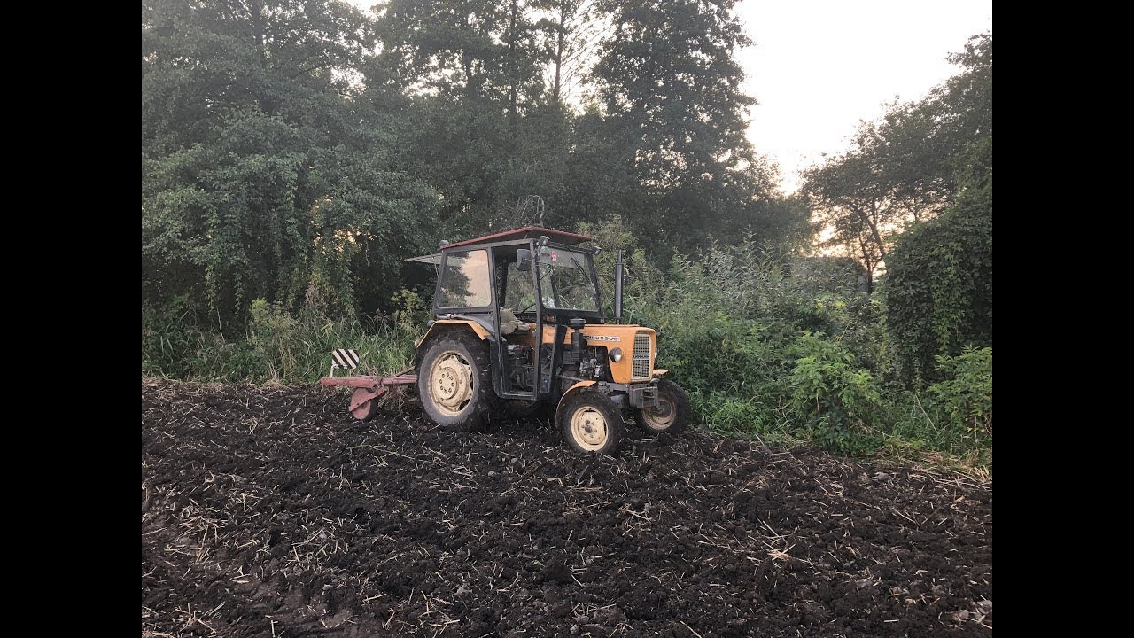 Kultywatorowanie 2019 Ursus C-330M + Kultywator Unia Grudziądz Oczami Rolnika #10 🚜 Dźwięk Silnika