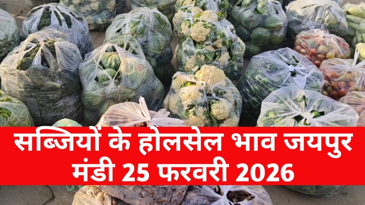 25 फरवरी 2026 सब्जियों के होलसेल भाव जयपुर 🥦 आज के ताजा रेट | Jaipur Vegetable Market