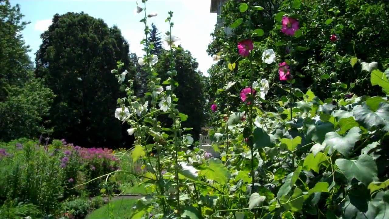 gardentoronto.ca  July 29, 2010  Spadina Museum Garden