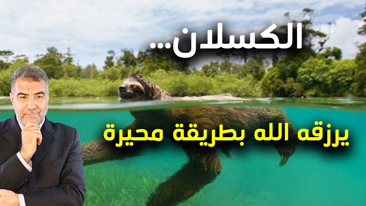الكسلان مخلوق يرزقه الله بطريقة محيرة | عبد الدائم الكحيل
