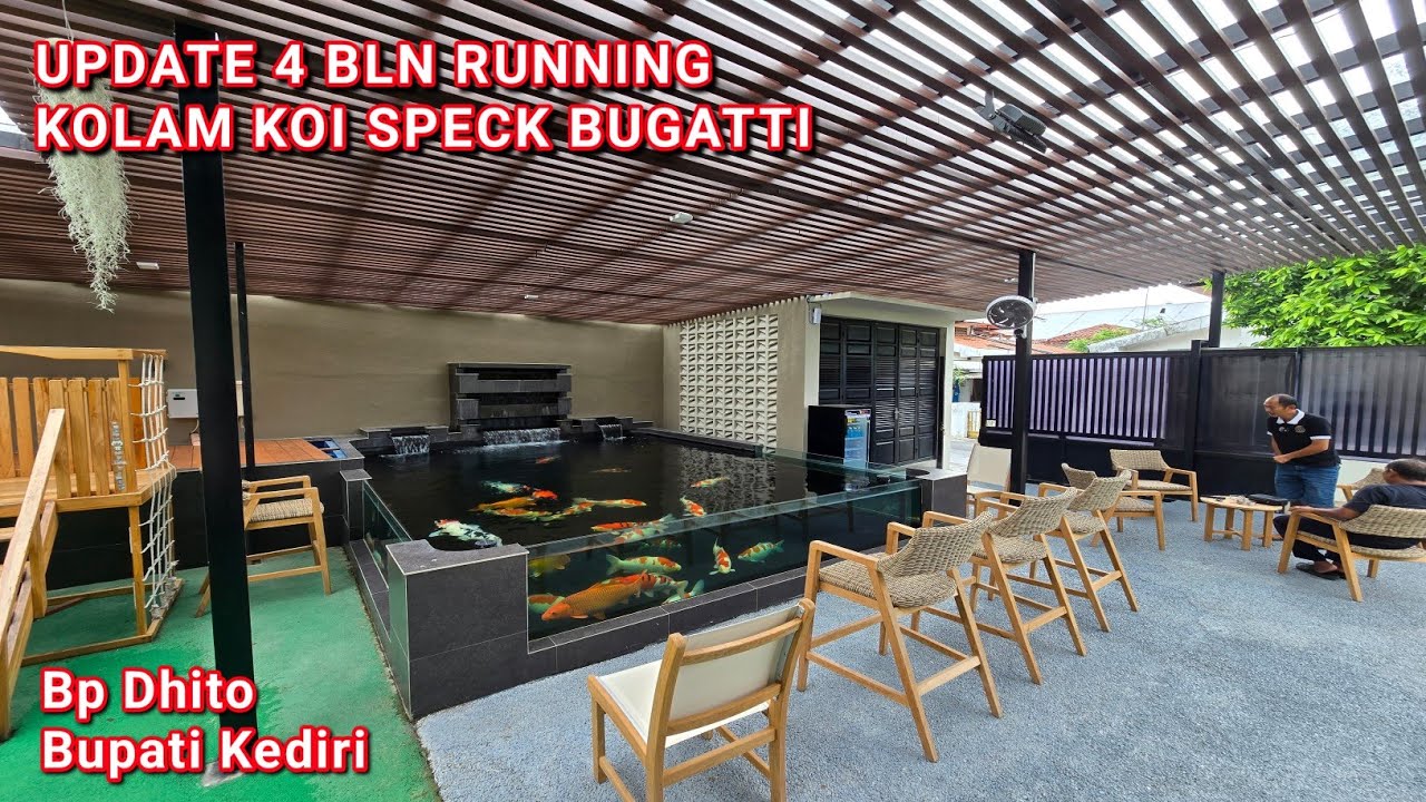 UPDATE 4 BLN RUNNING KOLAM KOI BUPATI KEDIRI | KEDIRI JAWA TIMUR