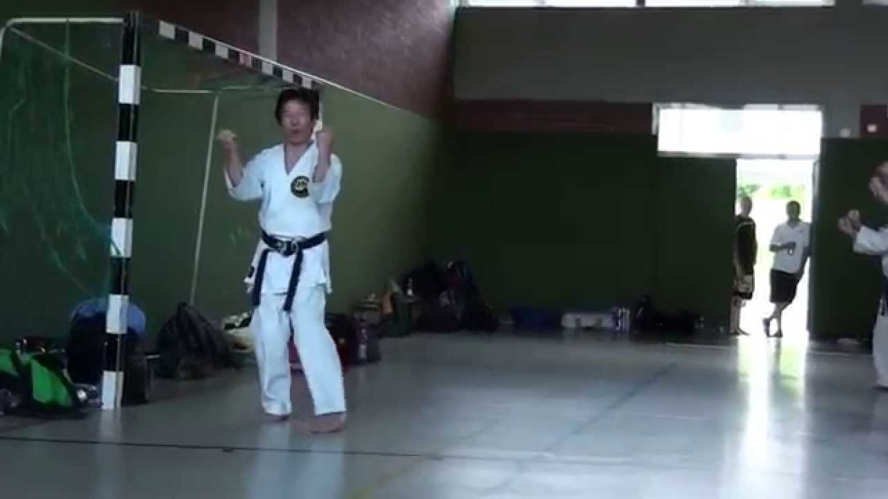 Tsutomu KAMOHARA sensei - SANCHIN Kata
