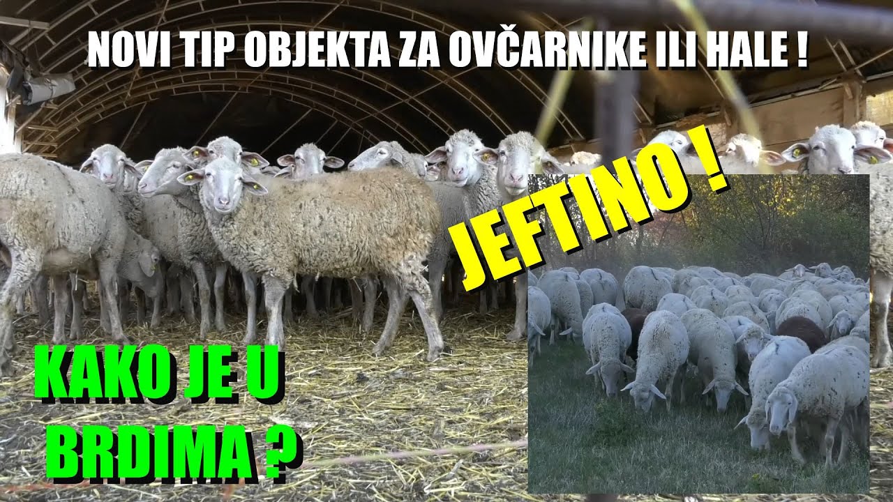TOTALNO NOVI OBJEKAT ZA OVCE - ULTRA JEFTINO - jeftinije od DRVETA - KAKO JE BITI OVČAR PO BRDIMA?!