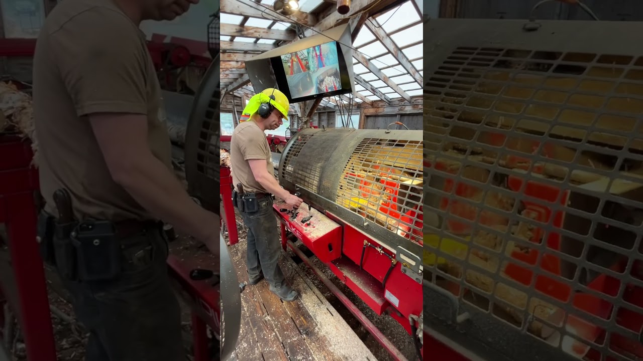 Firewood Production in Newfoundland