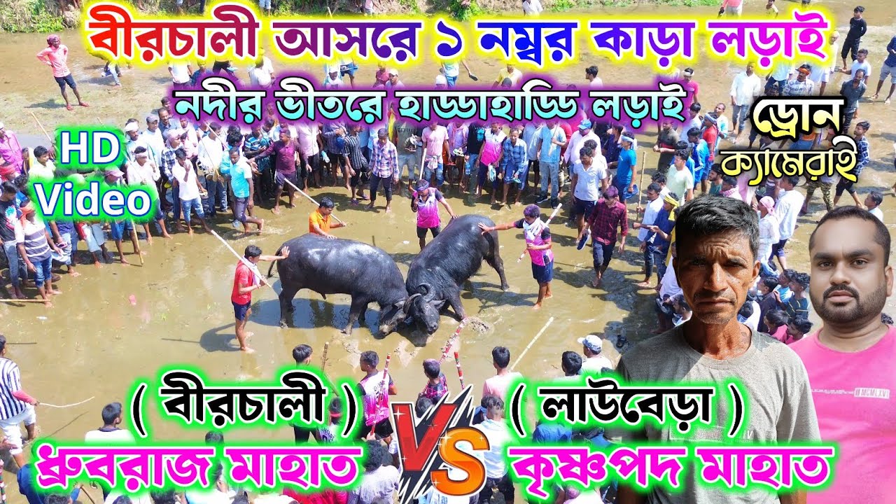 বীরচালী আসরে ১ নং কাড়া লড়াই !! ড্রোন ক্যামেরাই !! ধ্রুবরাজ মাহাত vs কৃষ্ণপদ মাহাত !! Birchali Kara