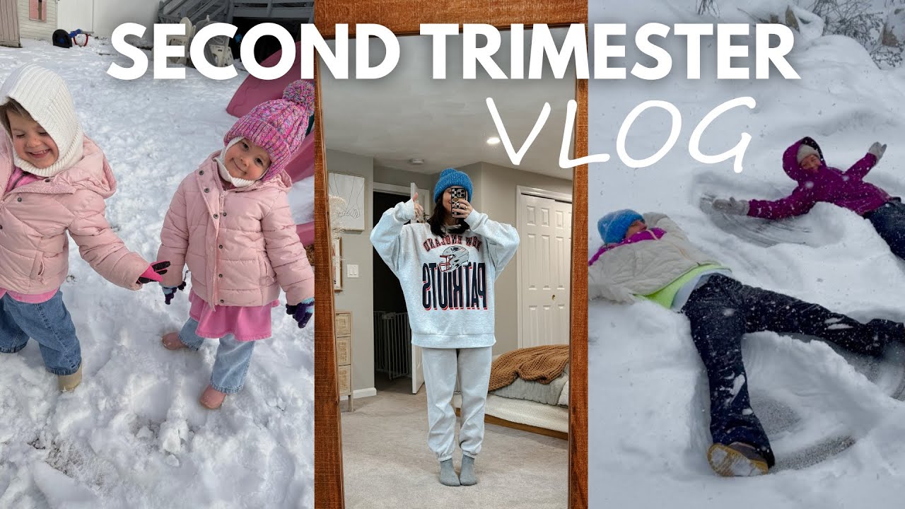 second trimester vlog | pregnant twin mom, winter Trader Joe’s haul, toddler tips!