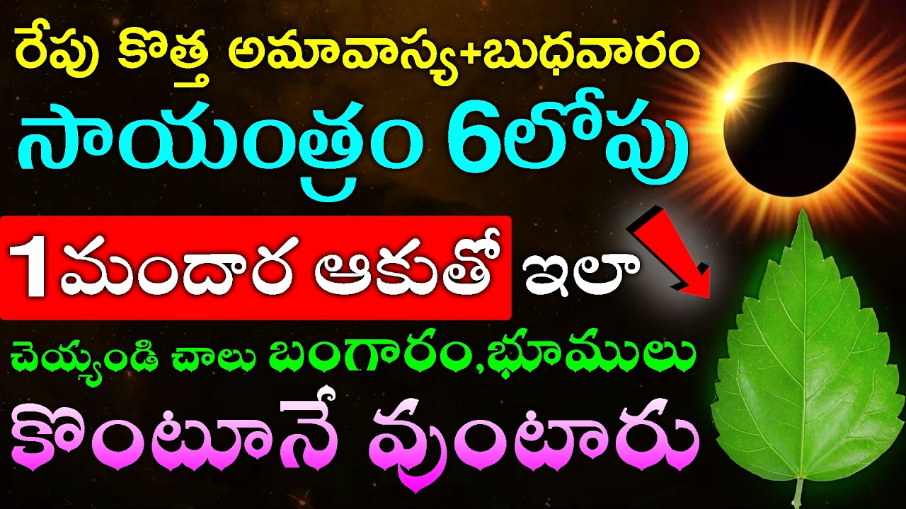 రేపు కొత్త అమావాస్య+బుధవారం సాయంత్రం 6లోపు మందార ఆకుతో ఇలా చెయ్యండి చాలు బంగారం,భూములు కొంటూనే