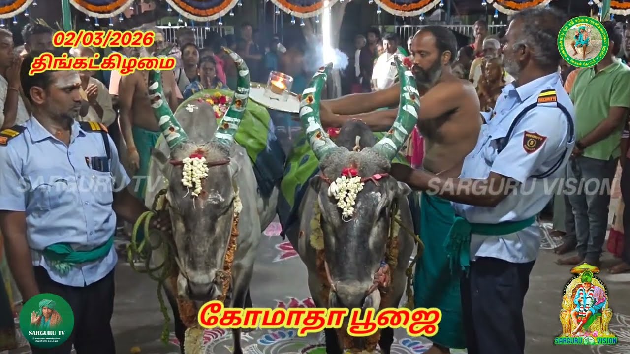 02/03/2026 திங்கட்கிழமை கோமாதா பூஜை 