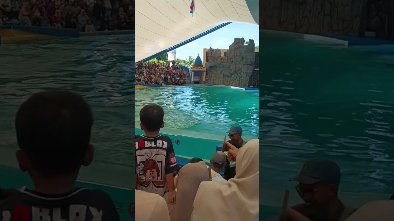 Dolphin Adventure Samudra Ancol Marine Park #samudraancol #ancoljakarta #ancol