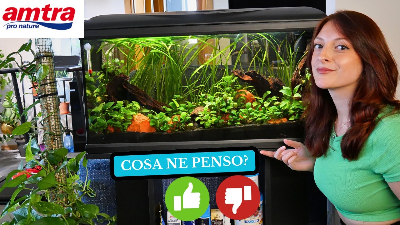Cosa ne penso dell'ACQUARIO SYSTEM TANK V2 80 LED AMTRA? 💦