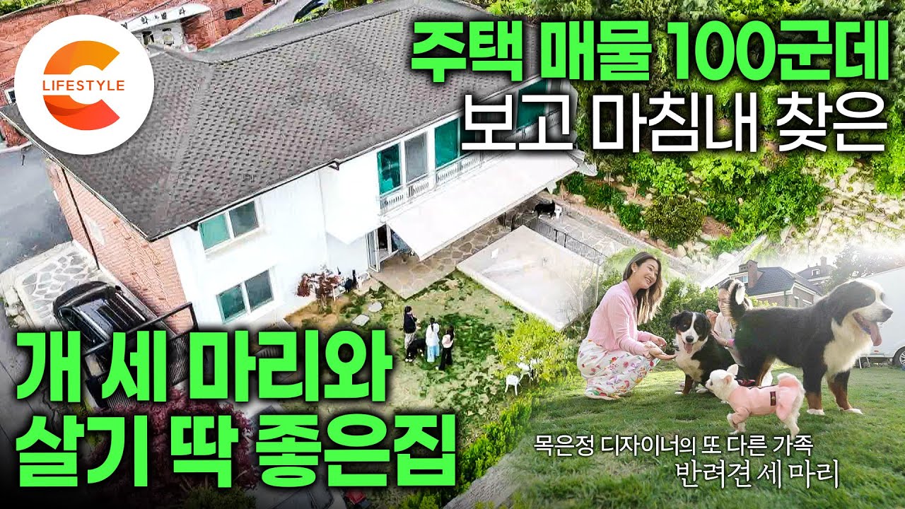 단독주택 100군데 발품 끝에 찾았습니다🏡 서울 한복판 여전히 튼튼하고 견고한 50살 구옥, 디자이너가 2층짜리 구기동집을 선택한 이유ㅣ저예산 리모델링ㅣ#건축탐구집