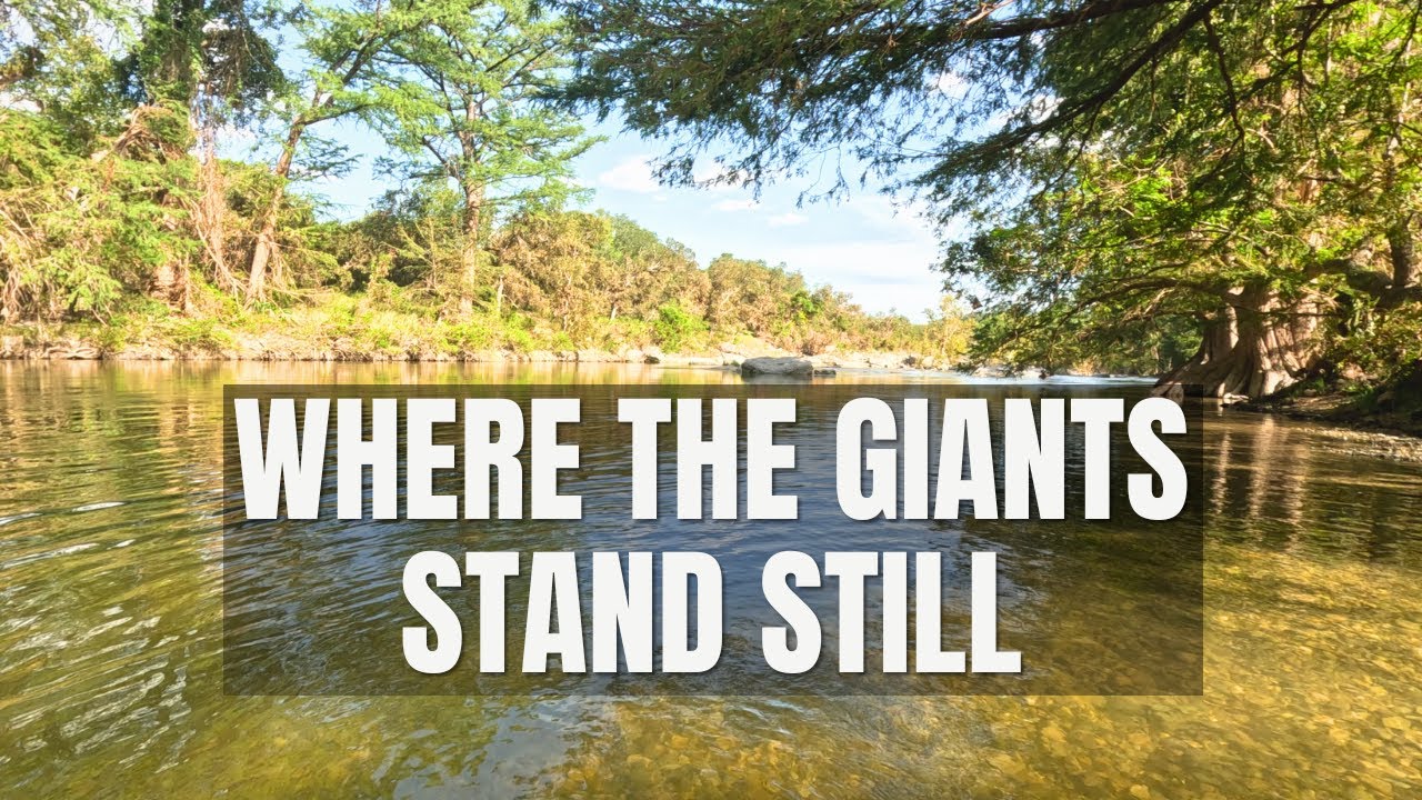 Ancient Trees & River Stories | Guadalupe River State Park Trails