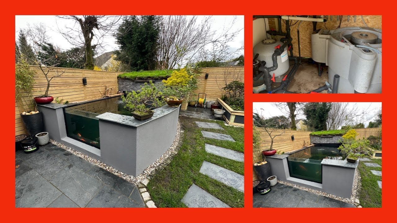 3000 GALLON NEW KOI POND...RECYCLE WASTE WATER!