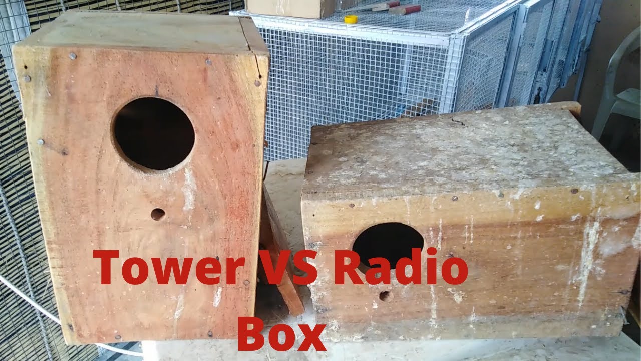 Best breeding box for Lovebird | Lovebirds breeding box | Tower vs Radio Box | Size of Lovebirds Box