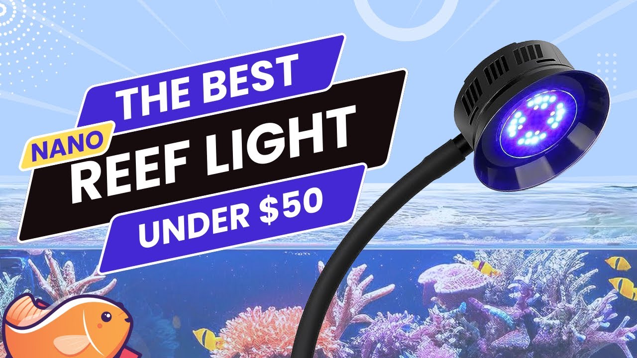 The Best Budget Nano Reef Aquarium Light Under $50 Dollars! First Look