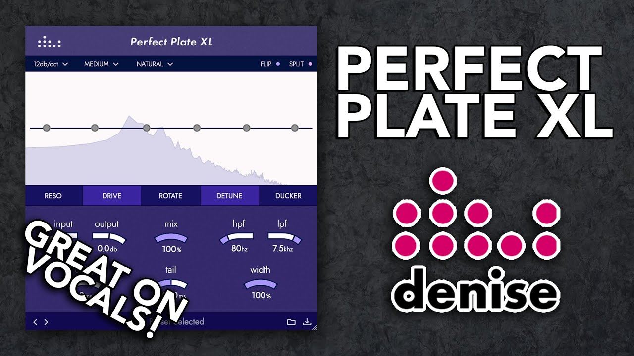 PERFECT PLATE XL REVERB // Beautiful plate sound with complete tone shaping & modulation controls!