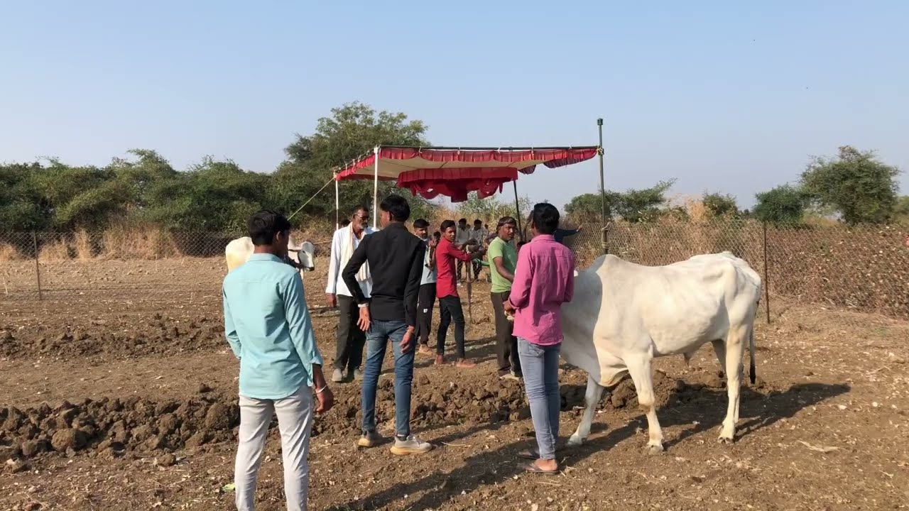 Day 1 Aalipur Shankrpat Vlog 