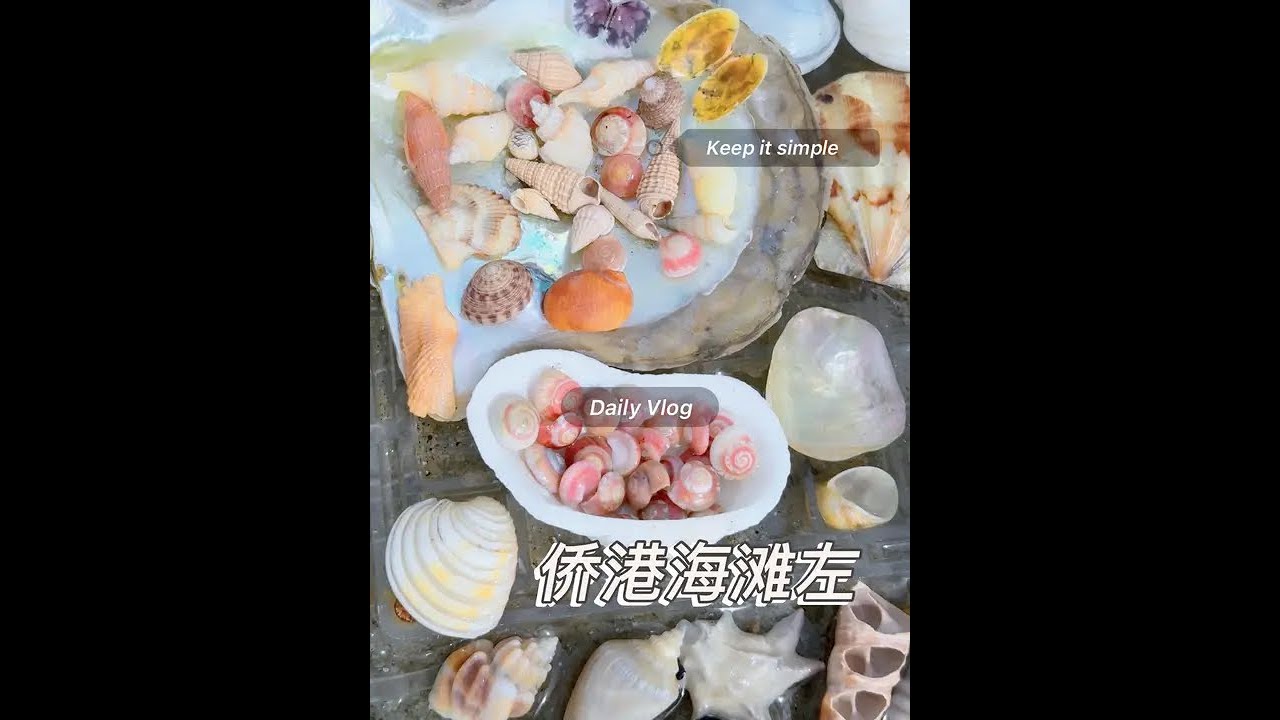 侨港海滩左 近期侨港海滩左边的贝壳集中在海沟左侧，退潮以后再去捡贝壳哈#大海的馈赠 #北海#捡贝壳的快乐 #解压#广西