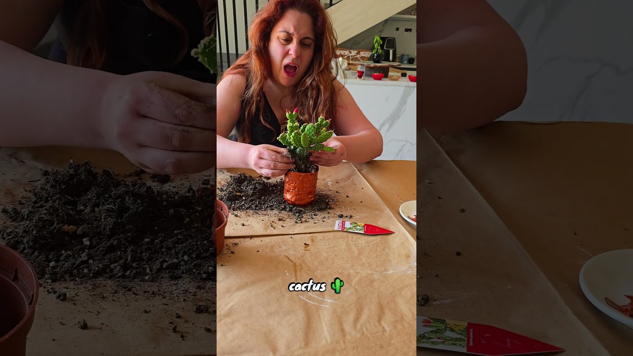 Fiducia malriposta: DAS vs Cactus! 😂🌵 #diy #das