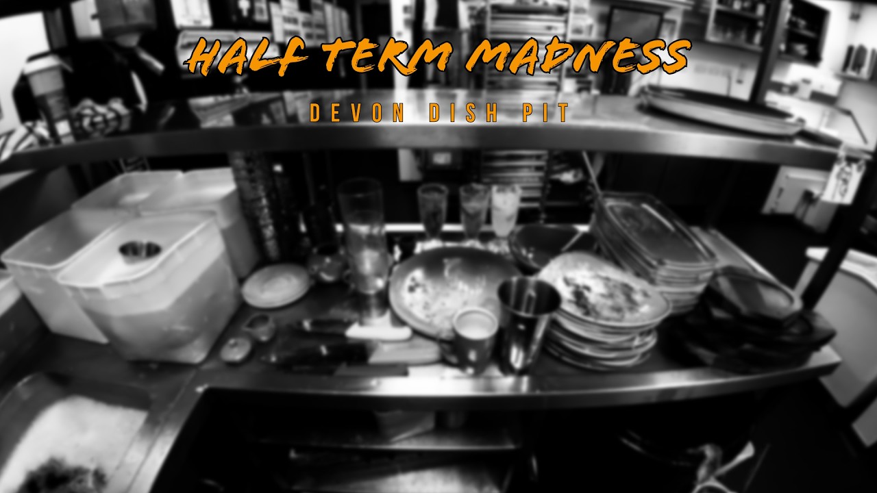 Dishwasher POV #83
