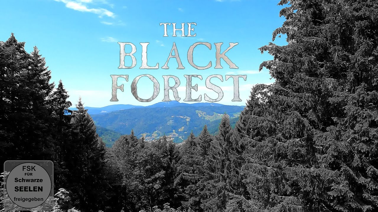 The Black Forest | Wanderung von Feldberg Ort nach Todtnau | Silberbergpfad | Schwarzwald