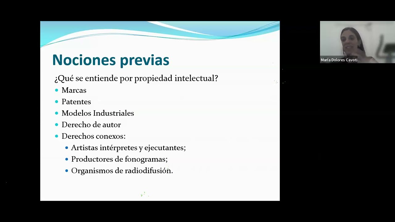 Derechos de Propiedad Industrial (Marcas, Patentes y Modelos) y Contratos