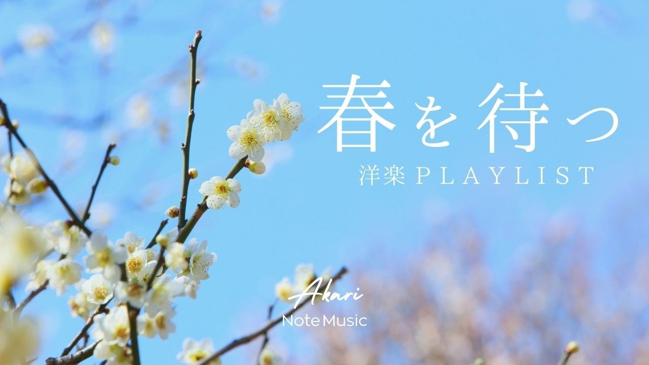 【朝の作業用BGM】春の訪れを待つ 🌸 穏やかな洋楽 Acoustic Chill 🎧 家事・読書・カフェタイムに｜Chill & Relax Playlist