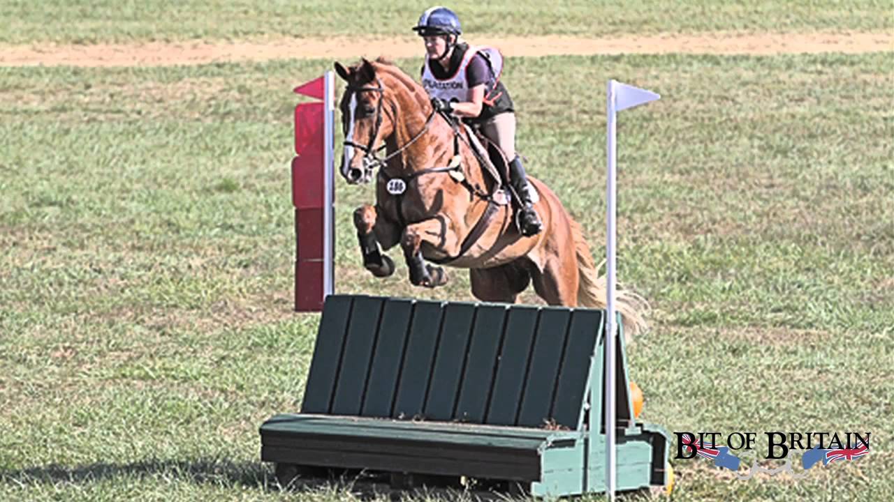 Nunn Finer's 5 Way Breastplate