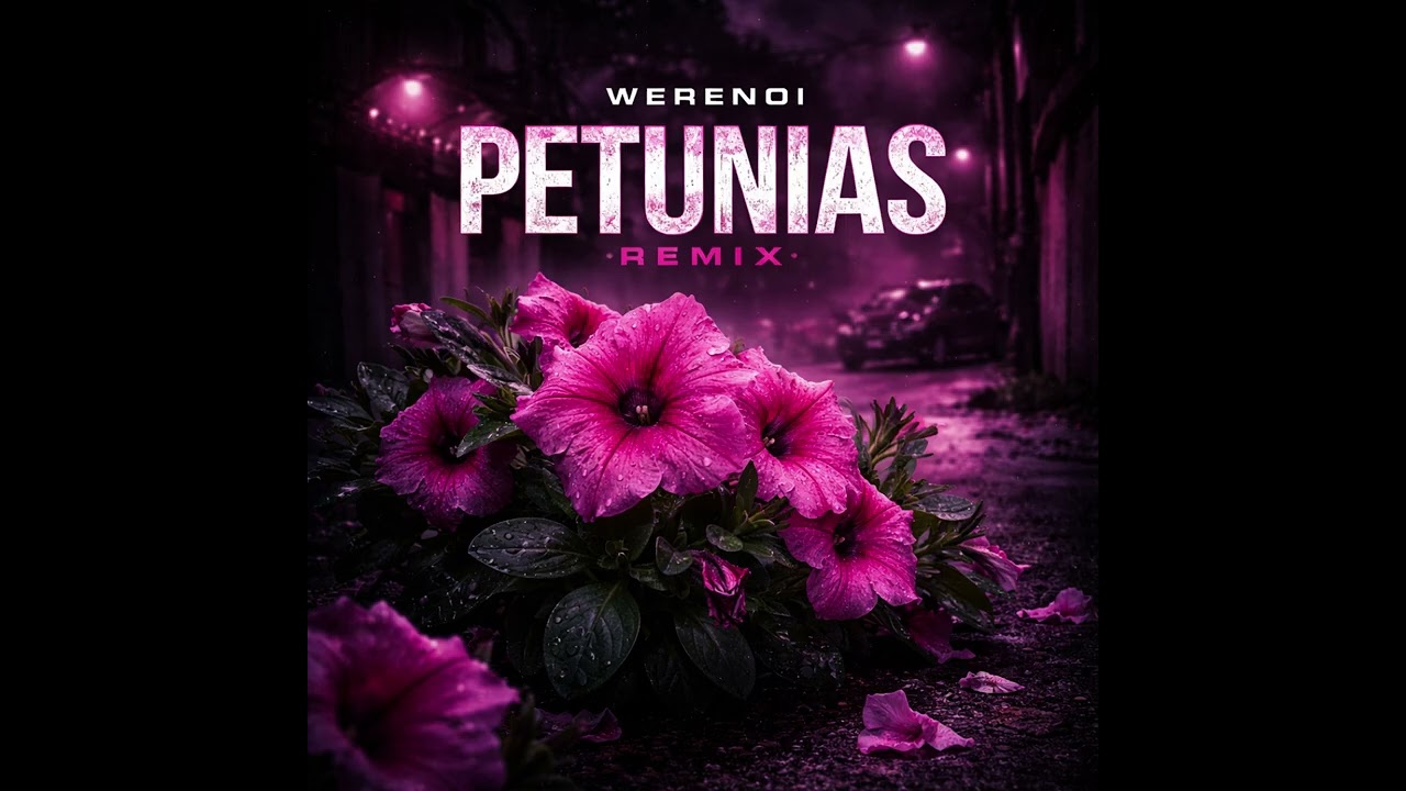 Werenoi - Pétunias (remix & prod @Embeyy_)