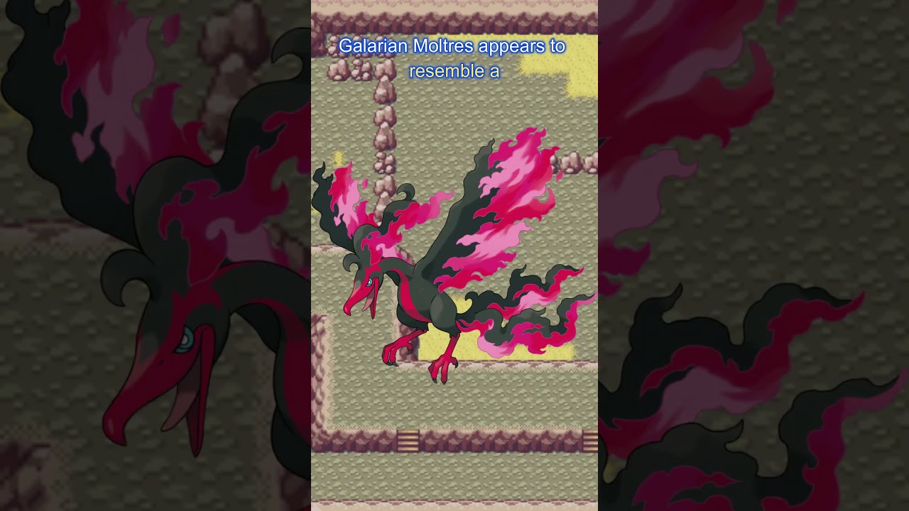 Pok&eacute;mon Designs and Origins - Moltres
