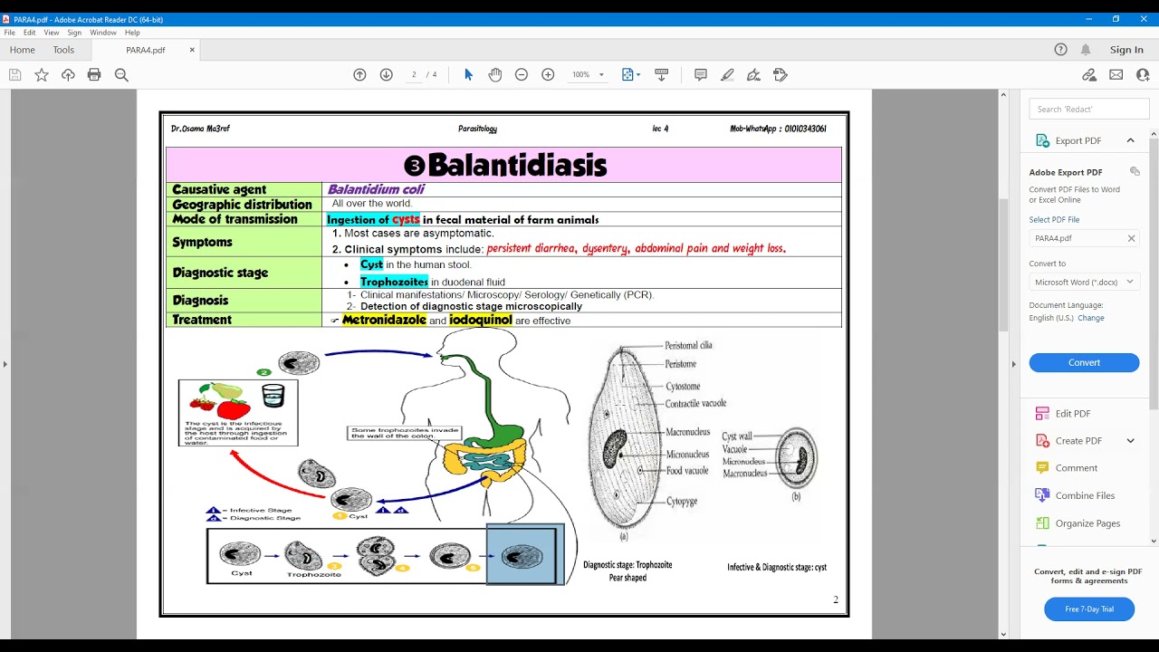 para 8 Giardia شرح بارا الجزء الثامن طفيل الجيارديا