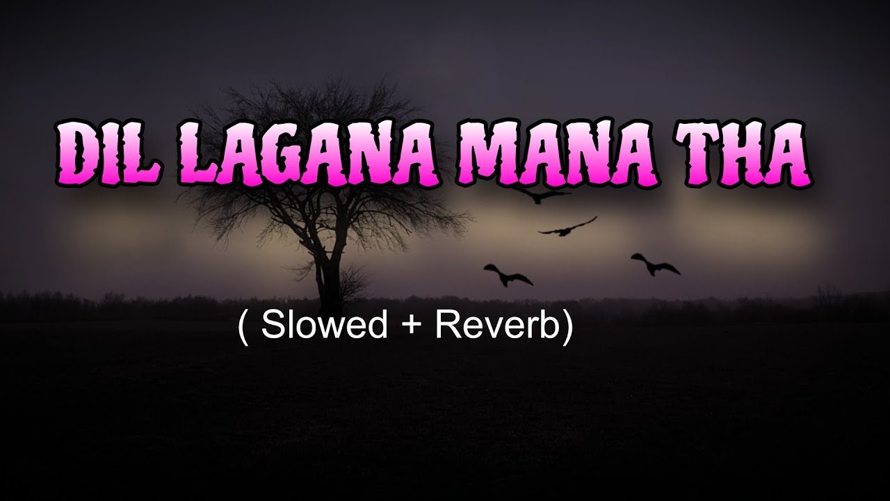 dil lagana mana tha song #mdmobarok-9