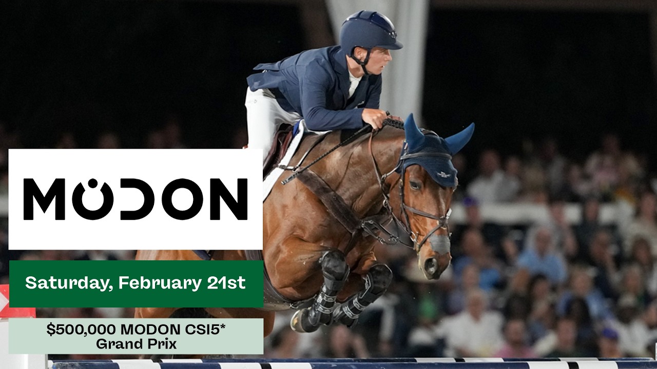 The WEF Grand Prix Show followed by the $500,000 Modon CSI5* Grand Prix