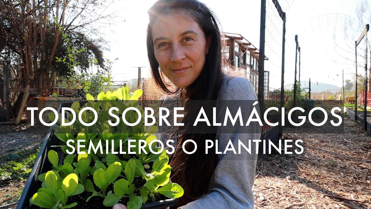 Empieza bien tus Almácigos! Todo sobre Plantines o Semilleros. Sustrato, almaciguera y Soil Blocker