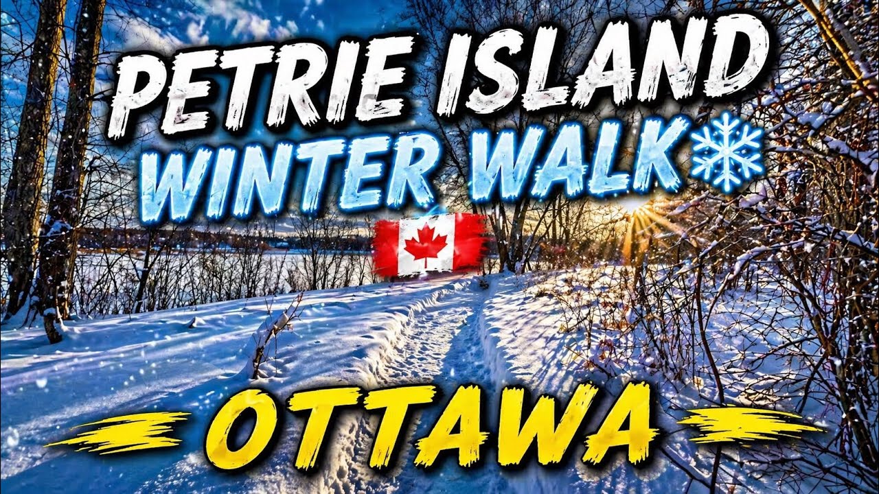 [4K] Winter Walk at Petrie Island ❄️ | William A. Trail Snowy Nature Walk | Ottawa Canada |2026