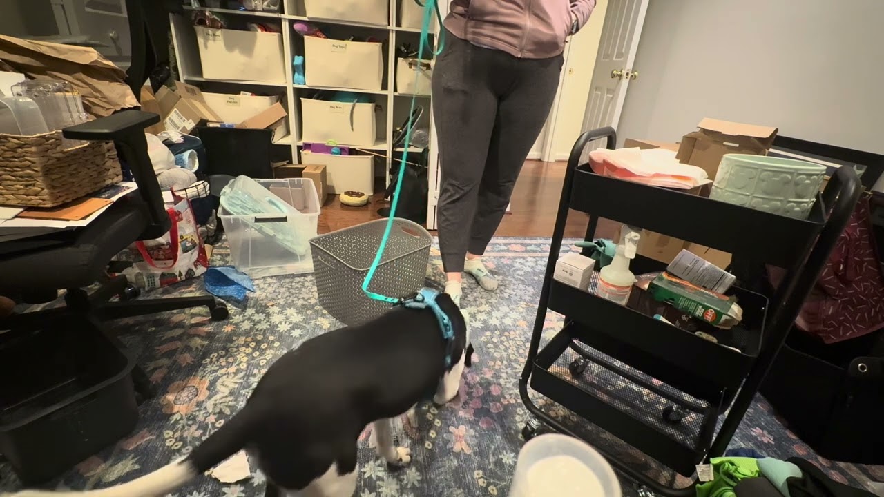 Buzz Nosework Week of 2/23