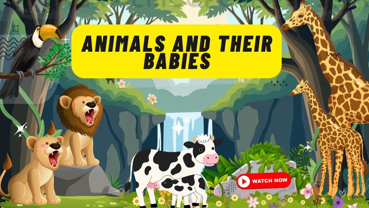 Animals and  their Babies@Kidslearnpark