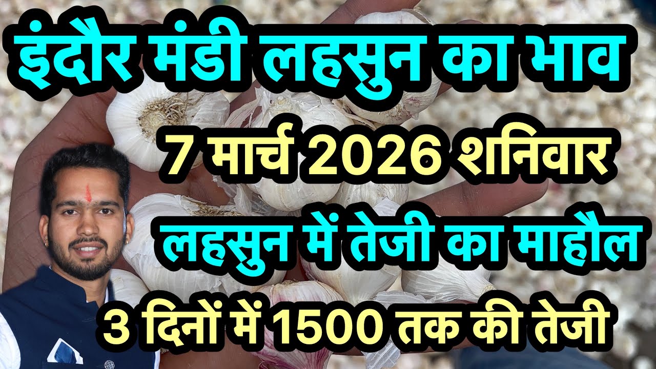 7 March 2026 इंदौर मंडी लहसुन में तेजी का माहौल 