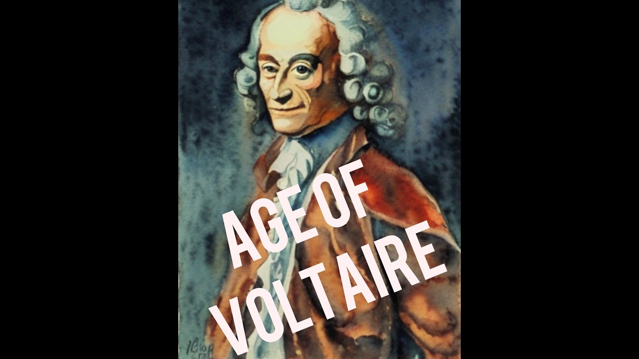 Age of Voltaire - Cardanos' Governance initiative explained by Michael and Charles - animated