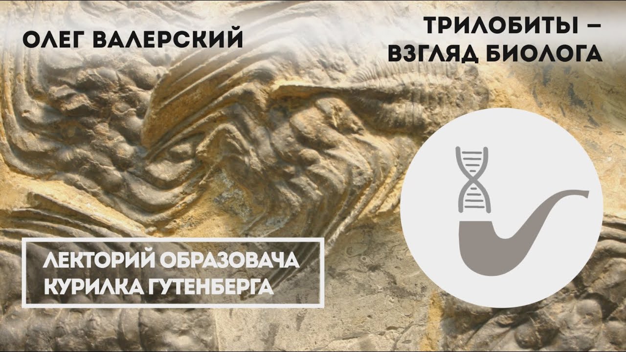 Олег Валерский - Трилобиты - взгляд биолога