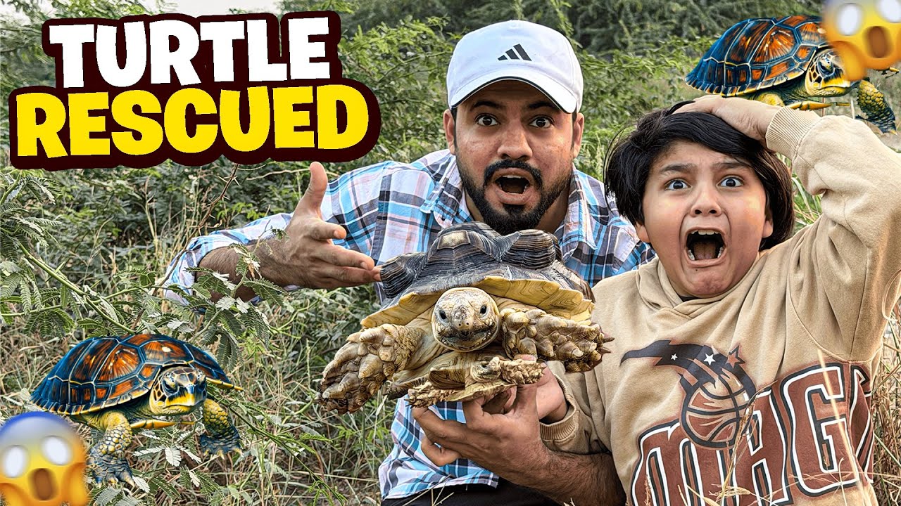 WE RESCUED POOR HUNGRY TURTLE 🐢 FORM HORROR JUNGLE 😳 || ANAS ALI VLOG || CHOTA ALI VLOG || 