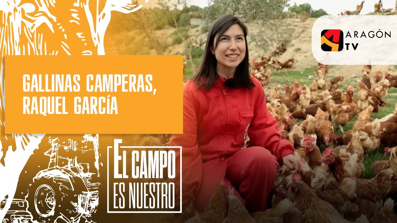 Gallinas camperas | Raquel García