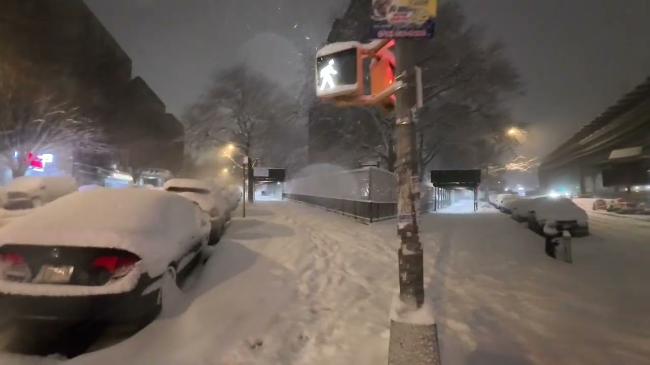 Wal-king in the blizzard in the Bronx #walkingtour #fyp #snow 