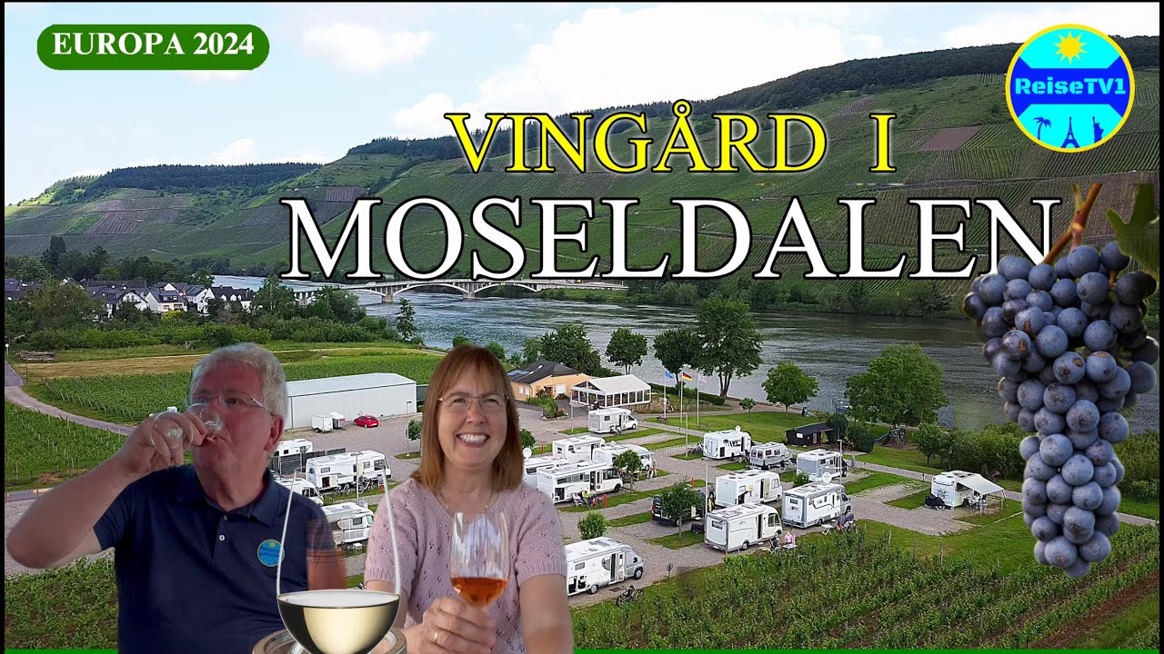 På vingård i MOSELDALEN - Flom i RHINDALEN. Med bobil i EUROPA 2024 [Del 6]