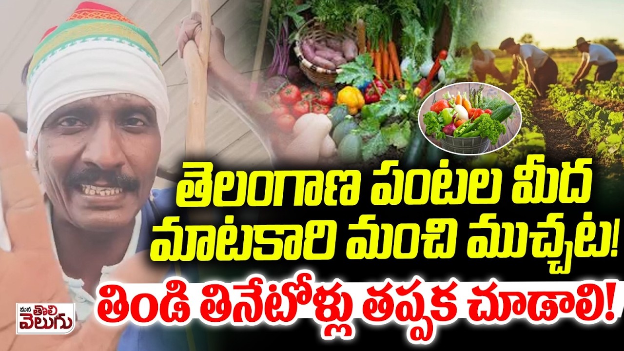 మన పంటల మీద మాటకారి మంచి ముచ్చట! | Telangana Must watch this video | TG Farming, Vegetables