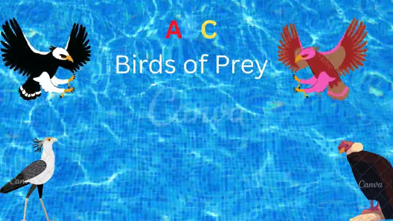 ABC Birds of Prey