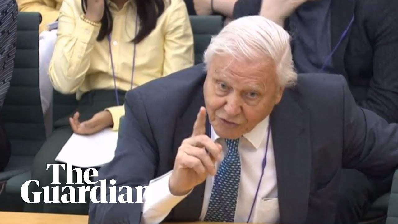 David Attenborough speaks in parliament about climate change &ndash; watch live