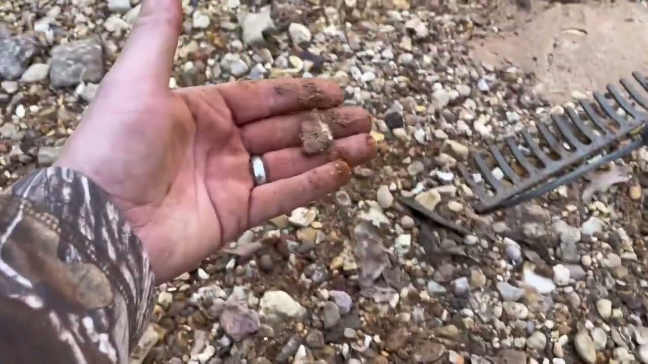 Arrowhead hunting 14