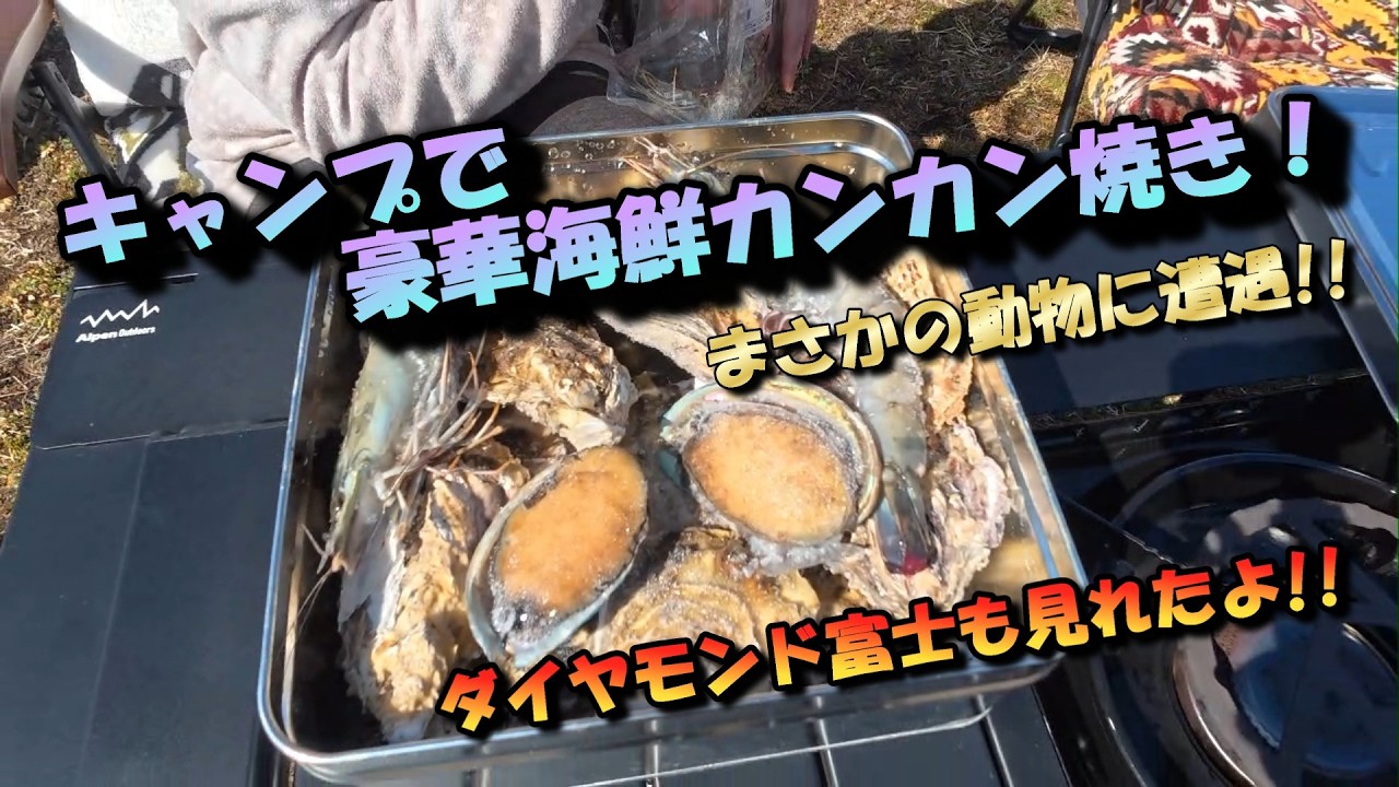 [キャンプで豪華海鮮カンカン焼き！]感動のダイヤモンド富士！キャンプ場でまさかの動物に遭遇！#キャンプ#富士エコパークビレッジ･富士エコキャンプ場#富士山#ダイヤモンド富士#カンカン焼き