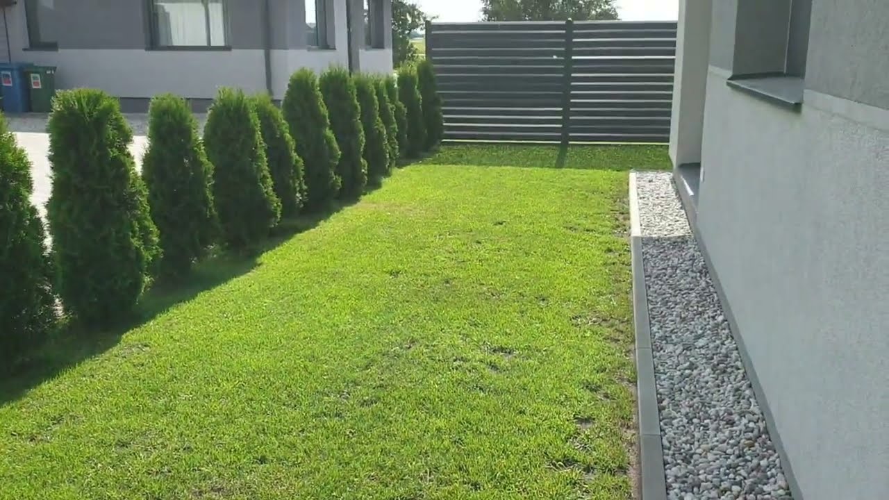 Veja per 30 dienų